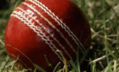 Cricket Balls Manufacturers, Exporters India
